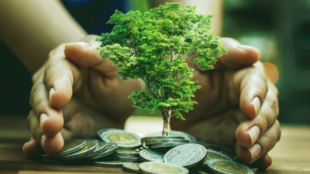 sustentabilidade